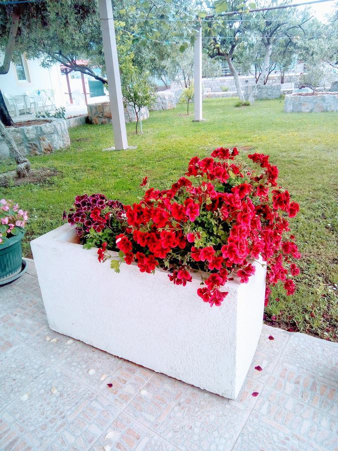 Apartments Maxi Katić Herceg Novi Bagian luar foto